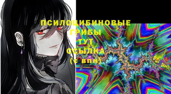 spice Абинск