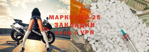 прущие грибы Алексеевка