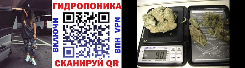 Шишки марихуана OG Kush  shop клад  Стерлитамак  наркотики 